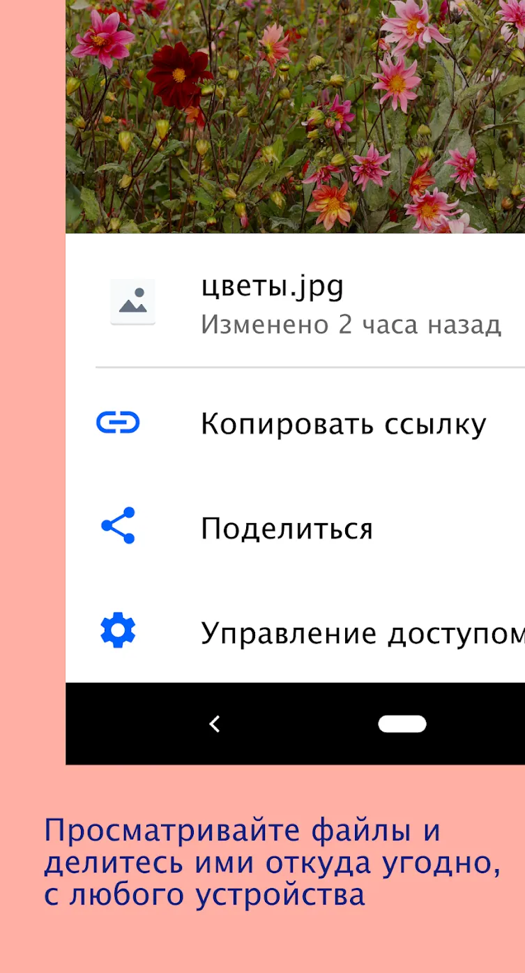 Dropbox Screenshot 2