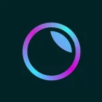 Скачать взлом Пресеты для Lightroom – PRO Лайтрум Presets на Андроид