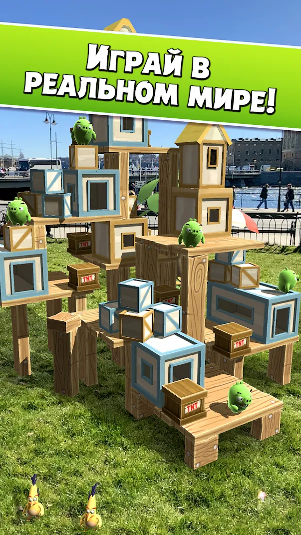 Angry Birds AR: Isle of Pigs Screenshot 3