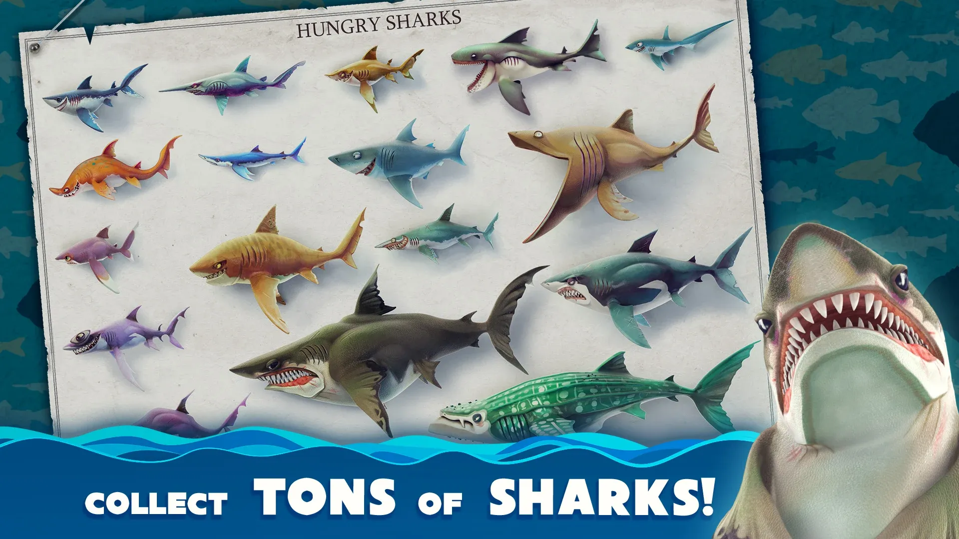 Hungry Shark World v7.8.1 APK Мод (Много денег) Screenshot 2 Hungry Shark World v7.8.1 APK Мод (Много денег) Screenshot 2