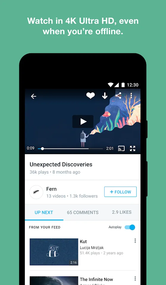 Vimeo Screenshot 3