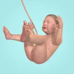 Скачать взломанную версию Idle 9 Months Мод (Много бриллиантов) на Андроид