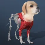 Скачать взломанную версию Idle Pet – Create cell by cell [мод: бесплатные покупки] на Андроид