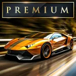Скачать взломанную версию MR RACER : Premium Мод (Много денег) на Андроид