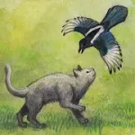 Скачать взлом Milo and the Magpies [мод: полная версия] на Андроид