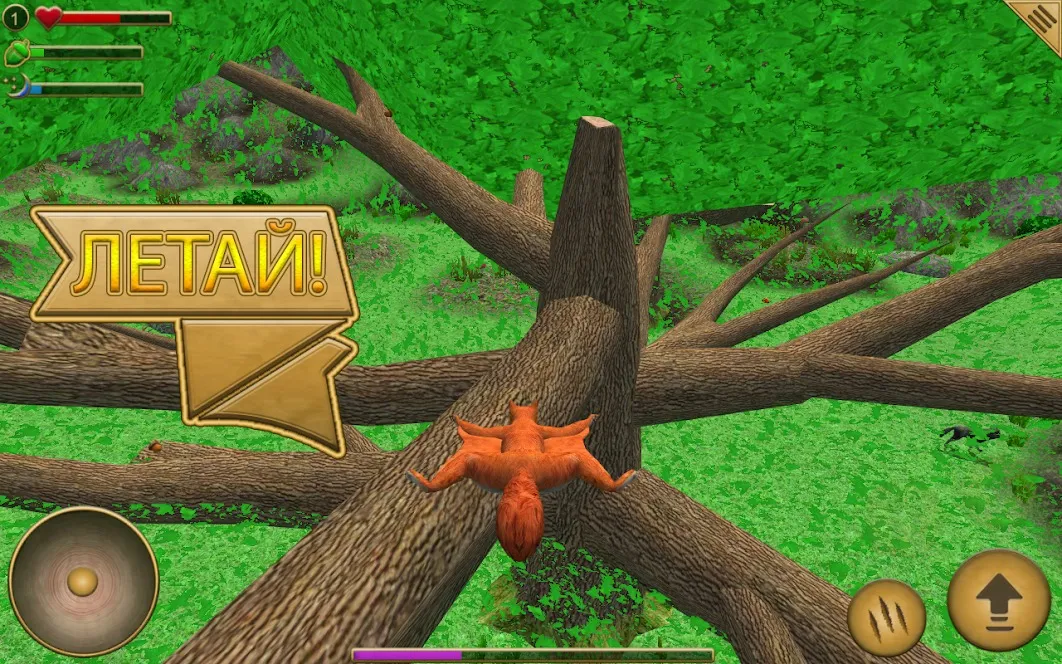 Симулятор Белки [мод: много денег] Screenshot 4