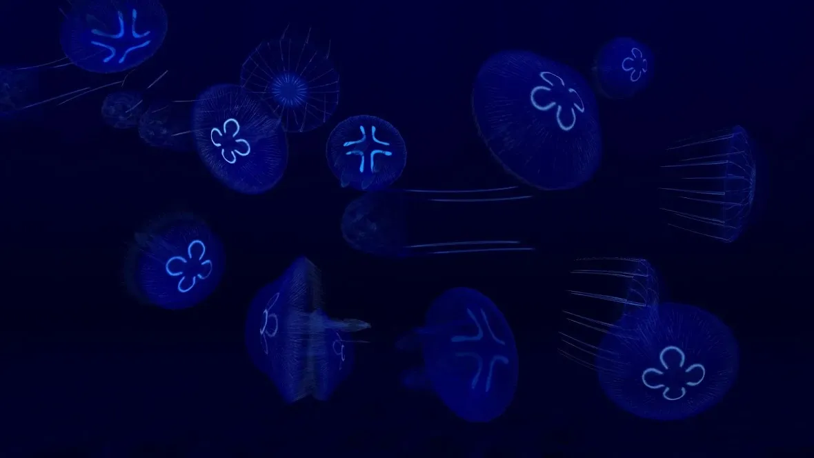 Fish Farm 3 – Aquarium [мод: бесплатные покупки] Screenshot 4