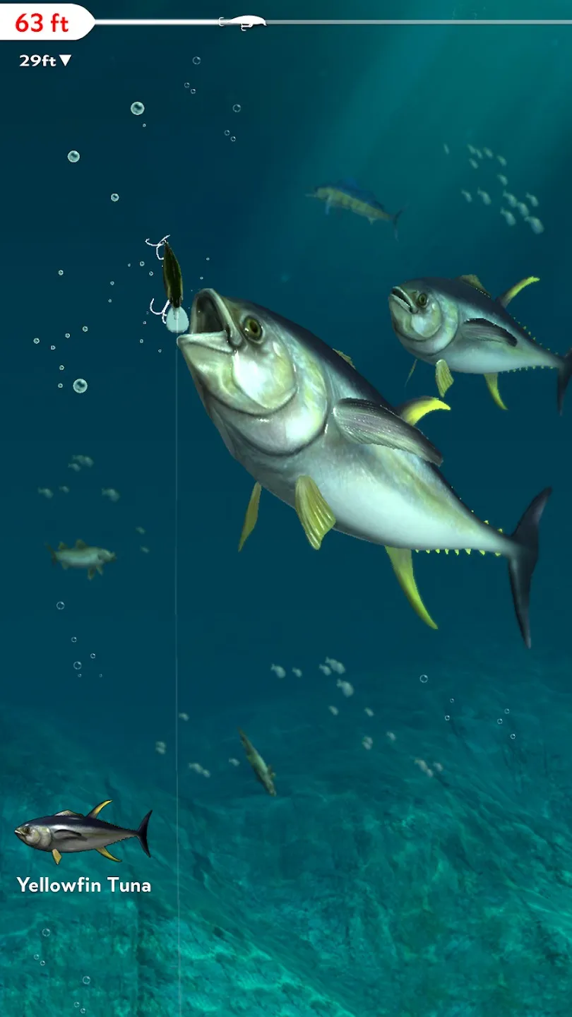 Rapala Fishing – Daily Catch [мод: много денег] Screenshot 5