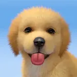 Скачать MOD My Dog:Pet Game Simulator [мод: без рекламы] на Андроид