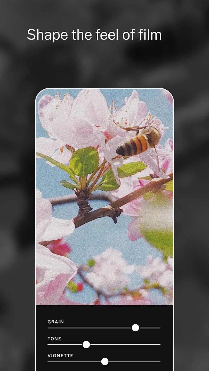 VSCO: Редактор фото и видео v463.1 APK Мод (Всё открыто, Premium) Screenshot 4 VSCO: Редактор фото и видео v463.1 APK Мод (Всё открыто, Premium) Screenshot 4