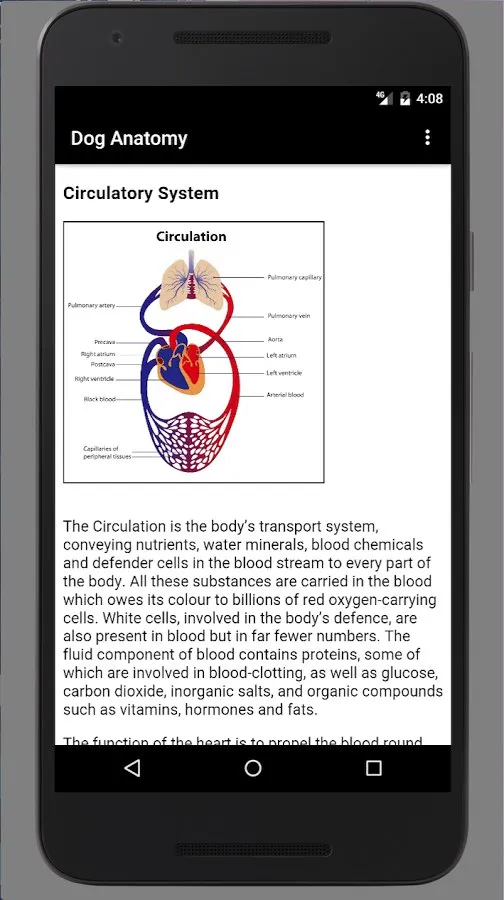 Dog Anatomy: Canine 3D Screenshot 3